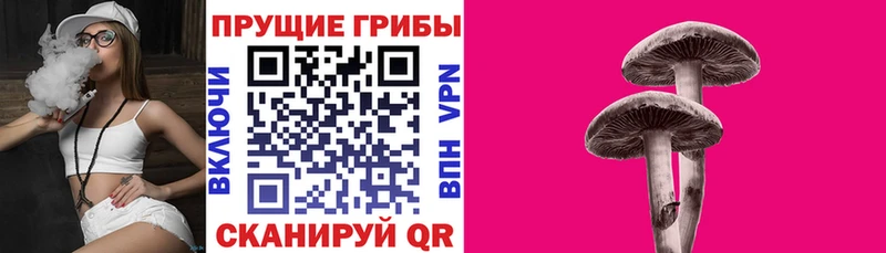 где найти наркотики  Белогорск  кракен ТОР  Псилоцибиновые грибы ЛСД 