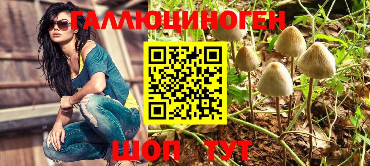 Псилоцибиновые грибы GOLDEN TEACHER Белогорск