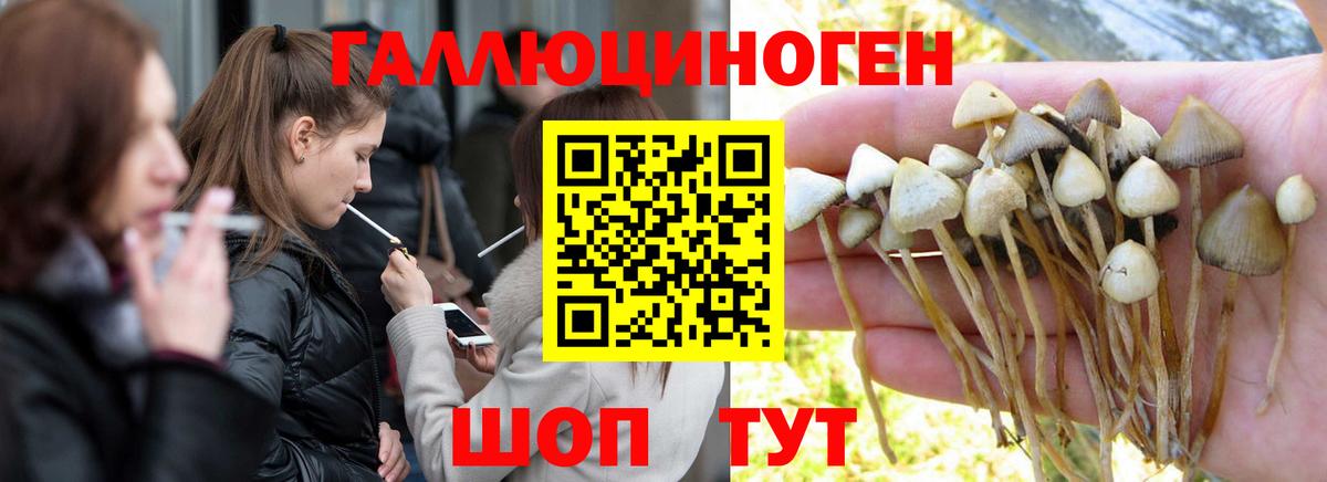 Белогорск  Псилоцибиновые грибы Psilocybine cubensis  Псилоцибиновые грибы GOLDEN TEACHER  купить наркоту  Вход с VPN 
